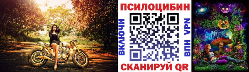 Псилоцибиновые грибы Psilocybe  цена наркотик  Алупка 